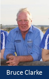 bruce clarke